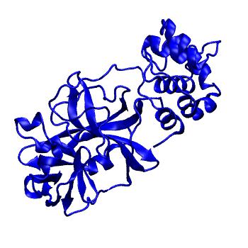 Structure preview of Folding@home molecular dynamics simulations of Diamond Light Source / XChem X-ray structures of small molecule inhibitors of the SARS-CoV-2 main protease from the COVID Moonshot; project 13433, run 218