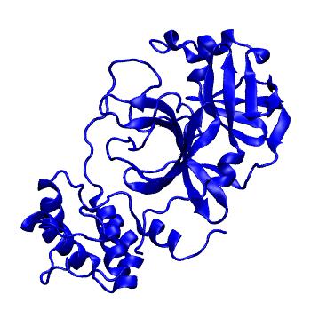 Structure preview of Folding@home molecular dynamics simulations of Diamond Light Source / XChem X-ray structures of small molecule inhibitors of the SARS-CoV-2 main protease from the COVID Moonshot; project 13433, run 219