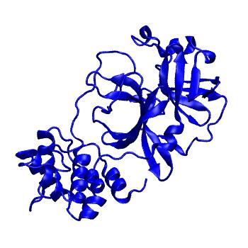 Structure preview of Folding@home molecular dynamics simulations of Diamond Light Source / XChem X-ray structures of small molecule inhibitors of the SARS-CoV-2 main protease from the COVID Moonshot; project 13433, run 222