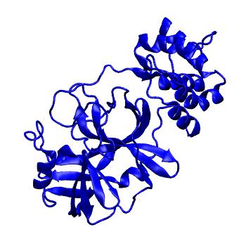 Structure preview of Folding@home molecular dynamics simulations of Diamond Light Source / XChem X-ray structures of small molecule inhibitors of the SARS-CoV-2 main protease from the COVID Moonshot; project 13433, run 225