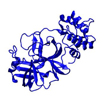 Structure preview of Folding@home molecular dynamics simulations of Diamond Light Source / XChem X-ray structures of small molecule inhibitors of the SARS-CoV-2 main protease from the COVID Moonshot; project 13433, run 226