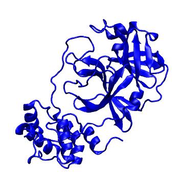Structure preview of Folding@home molecular dynamics simulations of Diamond Light Source / XChem X-ray structures of small molecule inhibitors of the SARS-CoV-2 main protease from the COVID Moonshot; project 13433, run 228
