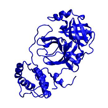 Structure preview of Folding@home molecular dynamics simulations of Diamond Light Source / XChem X-ray structures of small molecule inhibitors of the SARS-CoV-2 main protease from the COVID Moonshot; project 13433, run 22