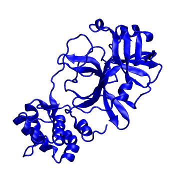 Structure preview of Folding@home molecular dynamics simulations of Diamond Light Source / XChem X-ray structures of small molecule inhibitors of the SARS-CoV-2 main protease from the COVID Moonshot; project 13433, run 232