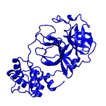Structure preview of Folding@home molecular dynamics simulations of Diamond Light Source / XChem X-ray structures of small molecule inhibitors of the SARS-CoV-2 main protease from the COVID Moonshot; project 13433, run 233