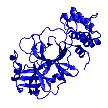 Structure preview of Folding@home molecular dynamics simulations of Diamond Light Source / XChem X-ray structures of small molecule inhibitors of the SARS-CoV-2 main protease from the COVID Moonshot; project 13433, run 235