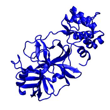 Structure preview of Folding@home molecular dynamics simulations of Diamond Light Source / XChem X-ray structures of small molecule inhibitors of the SARS-CoV-2 main protease from the COVID Moonshot; project 13433, run 236
