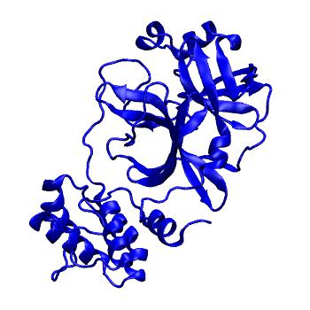 Structure preview of Folding@home molecular dynamics simulations of Diamond Light Source / XChem X-ray structures of small molecule inhibitors of the SARS-CoV-2 main protease from the COVID Moonshot; project 13433, run 238