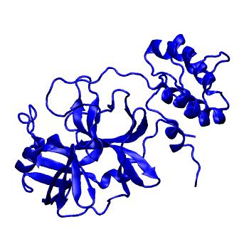 Structure preview of Folding@home molecular dynamics simulations of Diamond Light Source / XChem X-ray structures of small molecule inhibitors of the SARS-CoV-2 main protease from the COVID Moonshot; project 13433, run 23