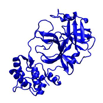 Structure preview of Folding@home molecular dynamics simulations of Diamond Light Source / XChem X-ray structures of small molecule inhibitors of the SARS-CoV-2 main protease from the COVID Moonshot; project 13433, run 240