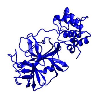 Structure preview of Folding@home molecular dynamics simulations of Diamond Light Source / XChem X-ray structures of small molecule inhibitors of the SARS-CoV-2 main protease from the COVID Moonshot; project 13433, run 241