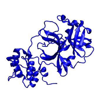 Structure preview of Folding@home molecular dynamics simulations of Diamond Light Source / XChem X-ray structures of small molecule inhibitors of the SARS-CoV-2 main protease from the COVID Moonshot; project 13433, run 242