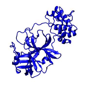 Structure preview of Folding@home molecular dynamics simulations of Diamond Light Source / XChem X-ray structures of small molecule inhibitors of the SARS-CoV-2 main protease from the COVID Moonshot; project 13433, run 243
