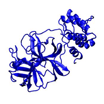 Structure preview of Folding@home molecular dynamics simulations of Diamond Light Source / XChem X-ray structures of small molecule inhibitors of the SARS-CoV-2 main protease from the COVID Moonshot; project 13433, run 246