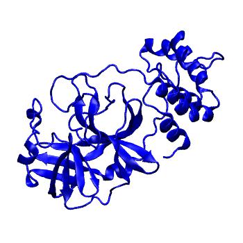 Structure preview of Folding@home molecular dynamics simulations of Diamond Light Source / XChem X-ray structures of small molecule inhibitors of the SARS-CoV-2 main protease from the COVID Moonshot; project 13433, run 248