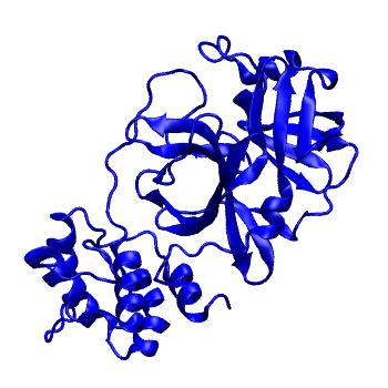 Structure preview of Folding@home molecular dynamics simulations of Diamond Light Source / XChem X-ray structures of small molecule inhibitors of the SARS-CoV-2 main protease from the COVID Moonshot; project 13433, run 249