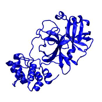 Structure preview of Folding@home molecular dynamics simulations of Diamond Light Source / XChem X-ray structures of small molecule inhibitors of the SARS-CoV-2 main protease from the COVID Moonshot; project 13433, run 24