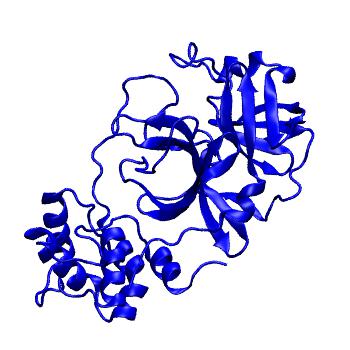 Structure preview of Folding@home molecular dynamics simulations of Diamond Light Source / XChem X-ray structures of small molecule inhibitors of the SARS-CoV-2 main protease from the COVID Moonshot; project 13433, run 250