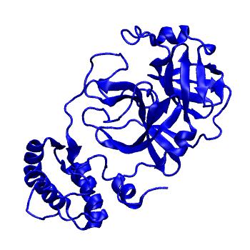 Structure preview of Folding@home molecular dynamics simulations of Diamond Light Source / XChem X-ray structures of small molecule inhibitors of the SARS-CoV-2 main protease from the COVID Moonshot; project 13433, run 251
