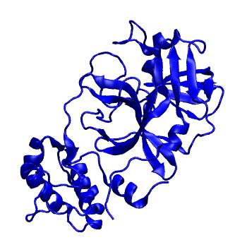 Structure preview of Folding@home molecular dynamics simulations of Diamond Light Source / XChem X-ray structures of small molecule inhibitors of the SARS-CoV-2 main protease from the COVID Moonshot; project 13433, run 252