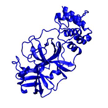 Structure preview of Folding@home molecular dynamics simulations of Diamond Light Source / XChem X-ray structures of small molecule inhibitors of the SARS-CoV-2 main protease from the COVID Moonshot; project 13433, run 253