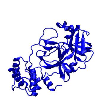 Structure preview of Folding@home molecular dynamics simulations of Diamond Light Source / XChem X-ray structures of small molecule inhibitors of the SARS-CoV-2 main protease from the COVID Moonshot; project 13433, run 254