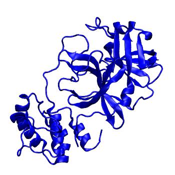 Structure preview of Folding@home molecular dynamics simulations of Diamond Light Source / XChem X-ray structures of small molecule inhibitors of the SARS-CoV-2 main protease from the COVID Moonshot; project 13433, run 257