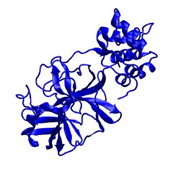 Structure preview of Folding@home molecular dynamics simulations of Diamond Light Source / XChem X-ray structures of small molecule inhibitors of the SARS-CoV-2 main protease from the COVID Moonshot; project 13433, run 259