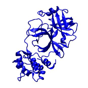Structure preview of Folding@home molecular dynamics simulations of Diamond Light Source / XChem X-ray structures of small molecule inhibitors of the SARS-CoV-2 main protease from the COVID Moonshot; project 13433, run 25
