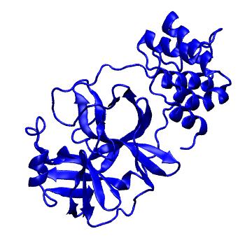 Structure preview of Folding@home molecular dynamics simulations of Diamond Light Source / XChem X-ray structures of small molecule inhibitors of the SARS-CoV-2 main protease from the COVID Moonshot; project 13433, run 262