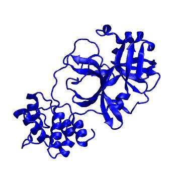 Structure preview of Folding@home molecular dynamics simulations of Diamond Light Source / XChem X-ray structures of small molecule inhibitors of the SARS-CoV-2 main protease from the COVID Moonshot; project 13433, run 263