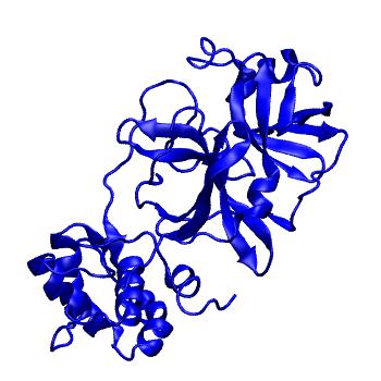 Structure preview of Folding@home molecular dynamics simulations of Diamond Light Source / XChem X-ray structures of small molecule inhibitors of the SARS-CoV-2 main protease from the COVID Moonshot; project 13433, run 264