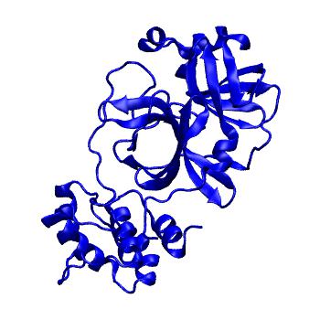 Structure preview of Folding@home molecular dynamics simulations of Diamond Light Source / XChem X-ray structures of small molecule inhibitors of the SARS-CoV-2 main protease from the COVID Moonshot; project 13433, run 26