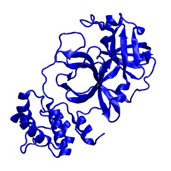 Structure preview of Folding@home molecular dynamics simulations of Diamond Light Source / XChem X-ray structures of small molecule inhibitors of the SARS-CoV-2 main protease from the COVID Moonshot; project 13433, run 271