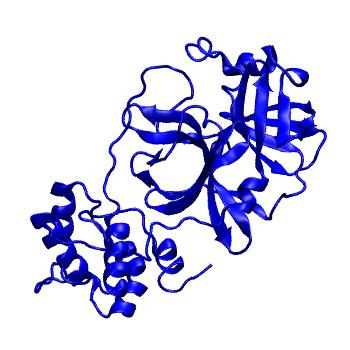 Structure preview of Folding@home molecular dynamics simulations of Diamond Light Source / XChem X-ray structures of small molecule inhibitors of the SARS-CoV-2 main protease from the COVID Moonshot; project 13433, run 272