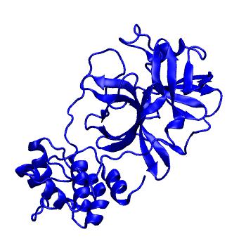 Structure preview of Folding@home molecular dynamics simulations of Diamond Light Source / XChem X-ray structures of small molecule inhibitors of the SARS-CoV-2 main protease from the COVID Moonshot; project 13433, run 274