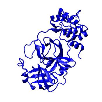 Structure preview of Folding@home molecular dynamics simulations of Diamond Light Source / XChem X-ray structures of small molecule inhibitors of the SARS-CoV-2 main protease from the COVID Moonshot; project 13433, run 275