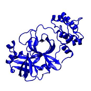 Structure preview of Folding@home molecular dynamics simulations of Diamond Light Source / XChem X-ray structures of small molecule inhibitors of the SARS-CoV-2 main protease from the COVID Moonshot; project 13433, run 279