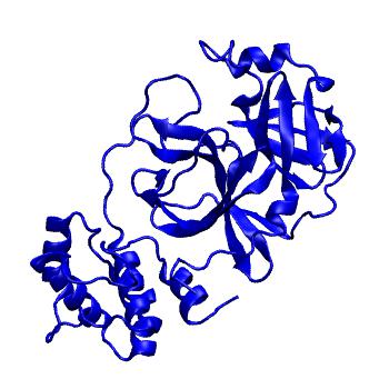 Structure preview of Folding@home molecular dynamics simulations of Diamond Light Source / XChem X-ray structures of small molecule inhibitors of the SARS-CoV-2 main protease from the COVID Moonshot; project 13433, run 285