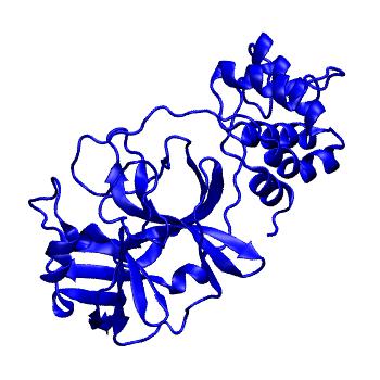 Structure preview of Folding@home molecular dynamics simulations of Diamond Light Source / XChem X-ray structures of small molecule inhibitors of the SARS-CoV-2 main protease from the COVID Moonshot; project 13433, run 287