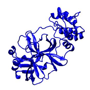 Structure preview of Folding@home molecular dynamics simulations of Diamond Light Source / XChem X-ray structures of small molecule inhibitors of the SARS-CoV-2 main protease from the COVID Moonshot; project 13433, run 28