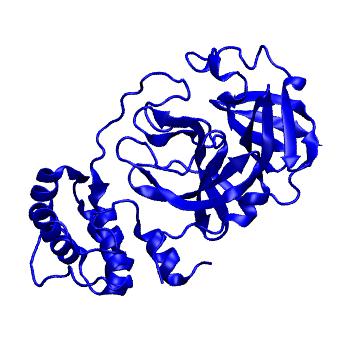 Structure preview of Folding@home molecular dynamics simulations of Diamond Light Source / XChem X-ray structures of small molecule inhibitors of the SARS-CoV-2 main protease from the COVID Moonshot; project 13433, run 290