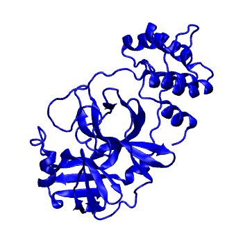 Structure preview of Folding@home molecular dynamics simulations of Diamond Light Source / XChem X-ray structures of small molecule inhibitors of the SARS-CoV-2 main protease from the COVID Moonshot; project 13433, run 295