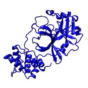 Structure preview of Folding@home molecular dynamics simulations of Diamond Light Source / XChem X-ray structures of small molecule inhibitors of the SARS-CoV-2 main protease from the COVID Moonshot; project 13433, run 297