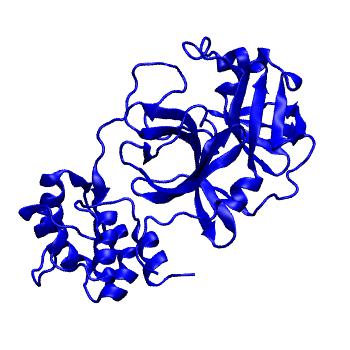 Structure preview of Folding@home molecular dynamics simulations of Diamond Light Source / XChem X-ray structures of small molecule inhibitors of the SARS-CoV-2 main protease from the COVID Moonshot; project 13433, run 29