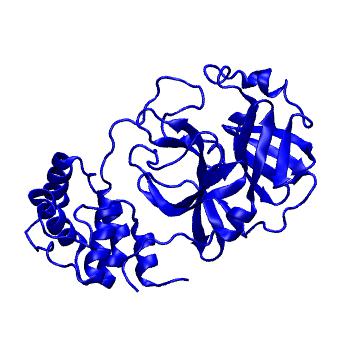 Structure preview of Folding@home molecular dynamics simulations of Diamond Light Source / XChem X-ray structures of small molecule inhibitors of the SARS-CoV-2 main protease from the COVID Moonshot; project 13433, run 302