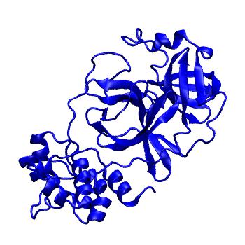 Structure preview of Folding@home molecular dynamics simulations of Diamond Light Source / XChem X-ray structures of small molecule inhibitors of the SARS-CoV-2 main protease from the COVID Moonshot; project 13433, run 306