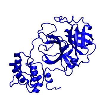 Structure preview of Folding@home molecular dynamics simulations of Diamond Light Source / XChem X-ray structures of small molecule inhibitors of the SARS-CoV-2 main protease from the COVID Moonshot; project 13433, run 308