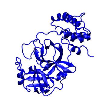 Structure preview of Folding@home molecular dynamics simulations of Diamond Light Source / XChem X-ray structures of small molecule inhibitors of the SARS-CoV-2 main protease from the COVID Moonshot; project 13433, run 309