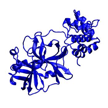 Structure preview of Folding@home molecular dynamics simulations of Diamond Light Source / XChem X-ray structures of small molecule inhibitors of the SARS-CoV-2 main protease from the COVID Moonshot; project 13433, run 310